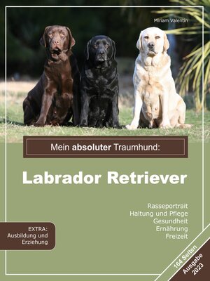 cover image of Mein absoluter Traumhund
